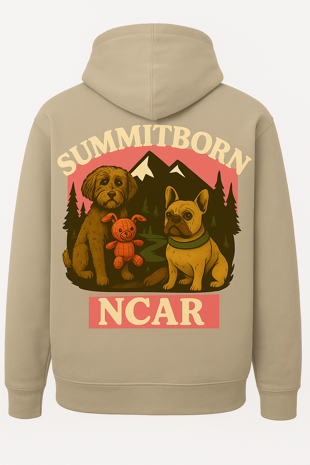 NCAR Custom Hoodie