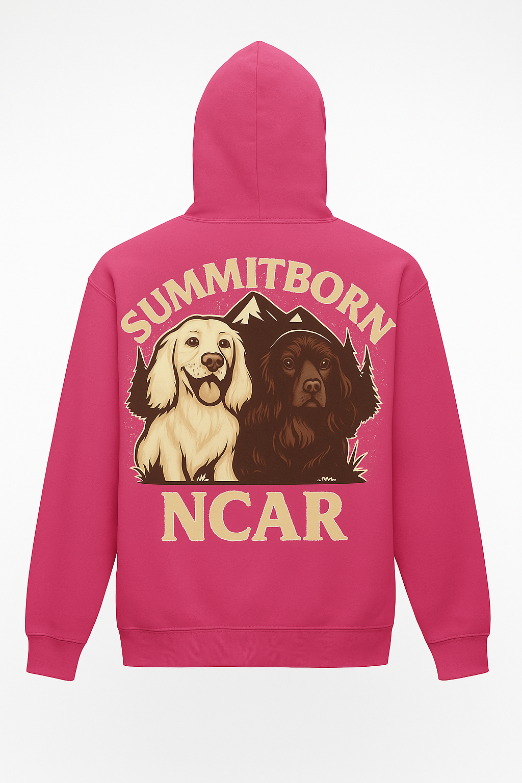NCAR Custom Hoodie
