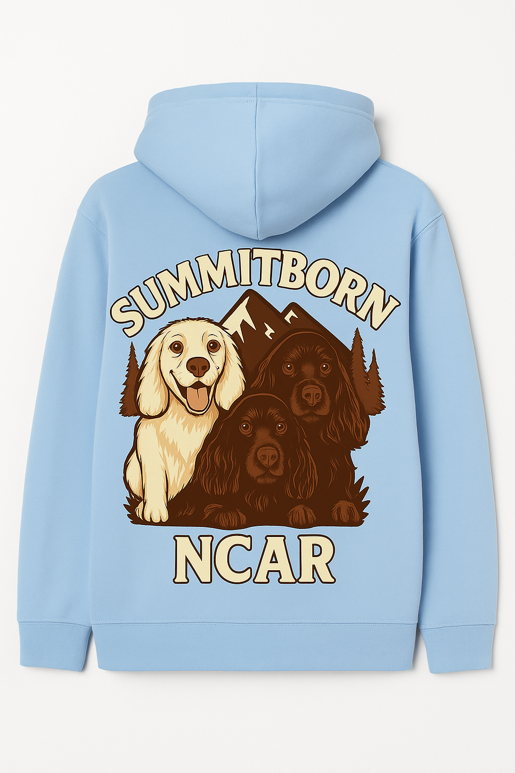 NCAR Kids Hoodie