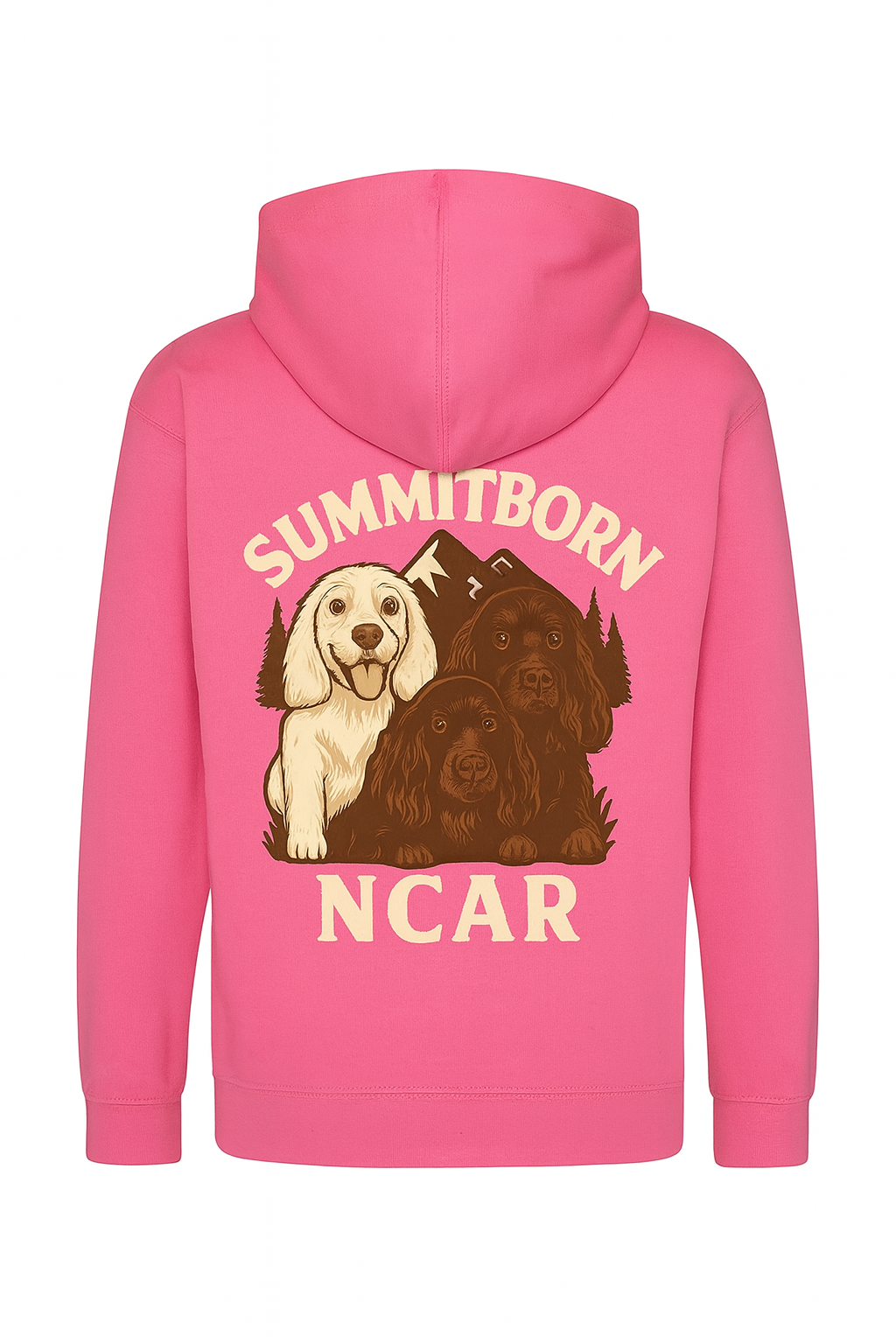 NCAR Kids Hoodie