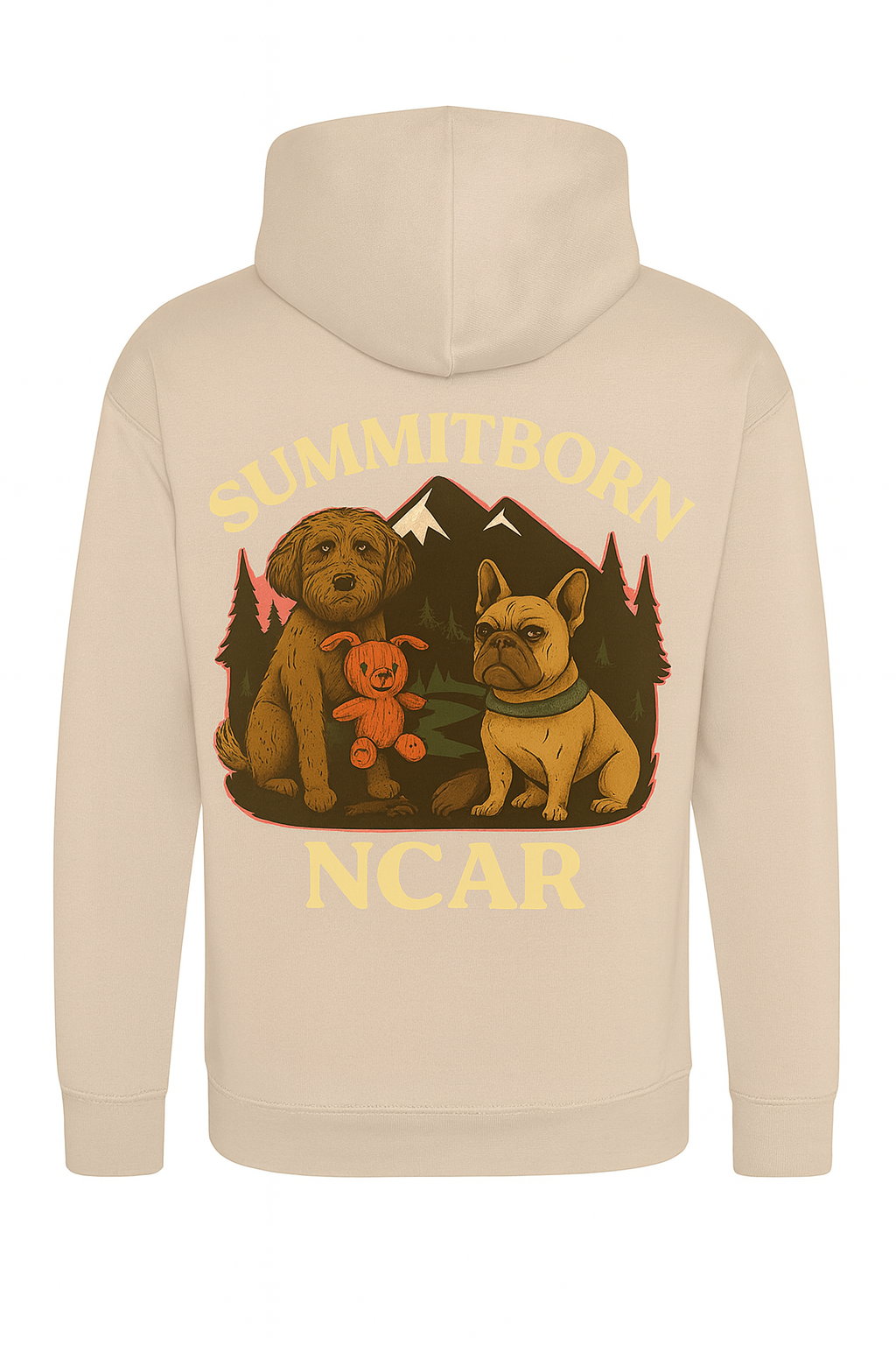 NCAR Kids Hoodie