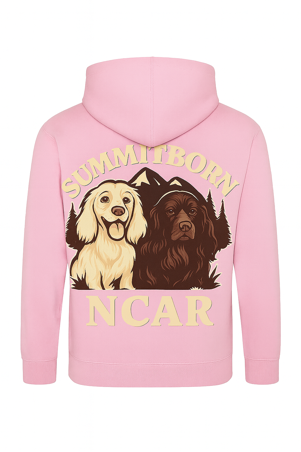 NCAR Kids Hoodie